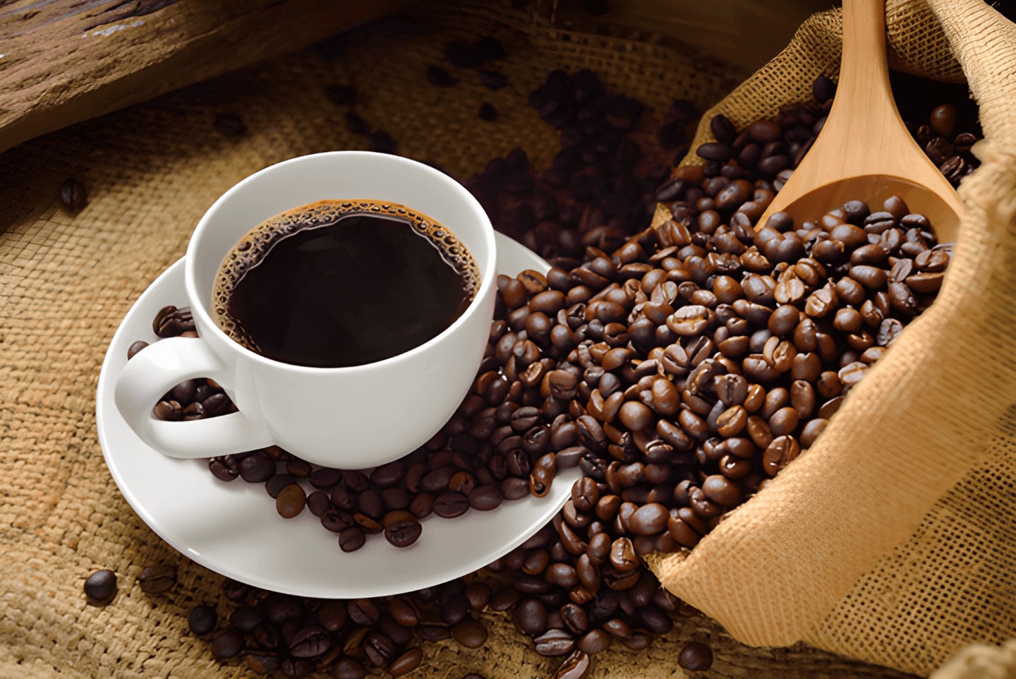 Hạn hán Brazil đẩy giá robusta lên đỉnh: Cảnh báo cho thị trường cà phê toàn cầu