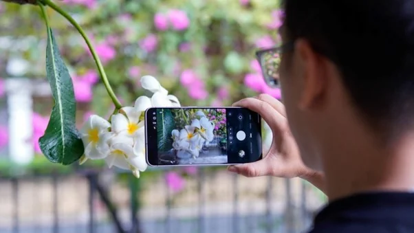 Galaxy S26 FE và iPhone 16e: Hai kiểu flagship giá tầm trung
