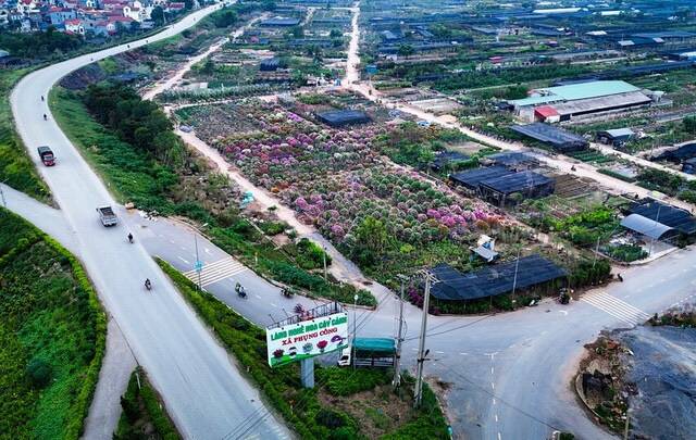 Ba dự án đô thị quy mô lớn và cuộc đua lên thành phố trực thuộc Trung ương