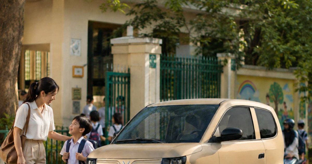 Sở hữu VinFast VF 2 và VF 3: Chi phí bảo dưỡng, sạc điện và tổng chi tiêu thực tế