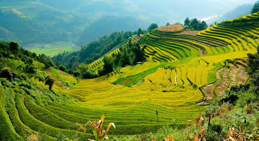 Sa Huỳnh và Tam Chúc hướng tới Di sản thế giới