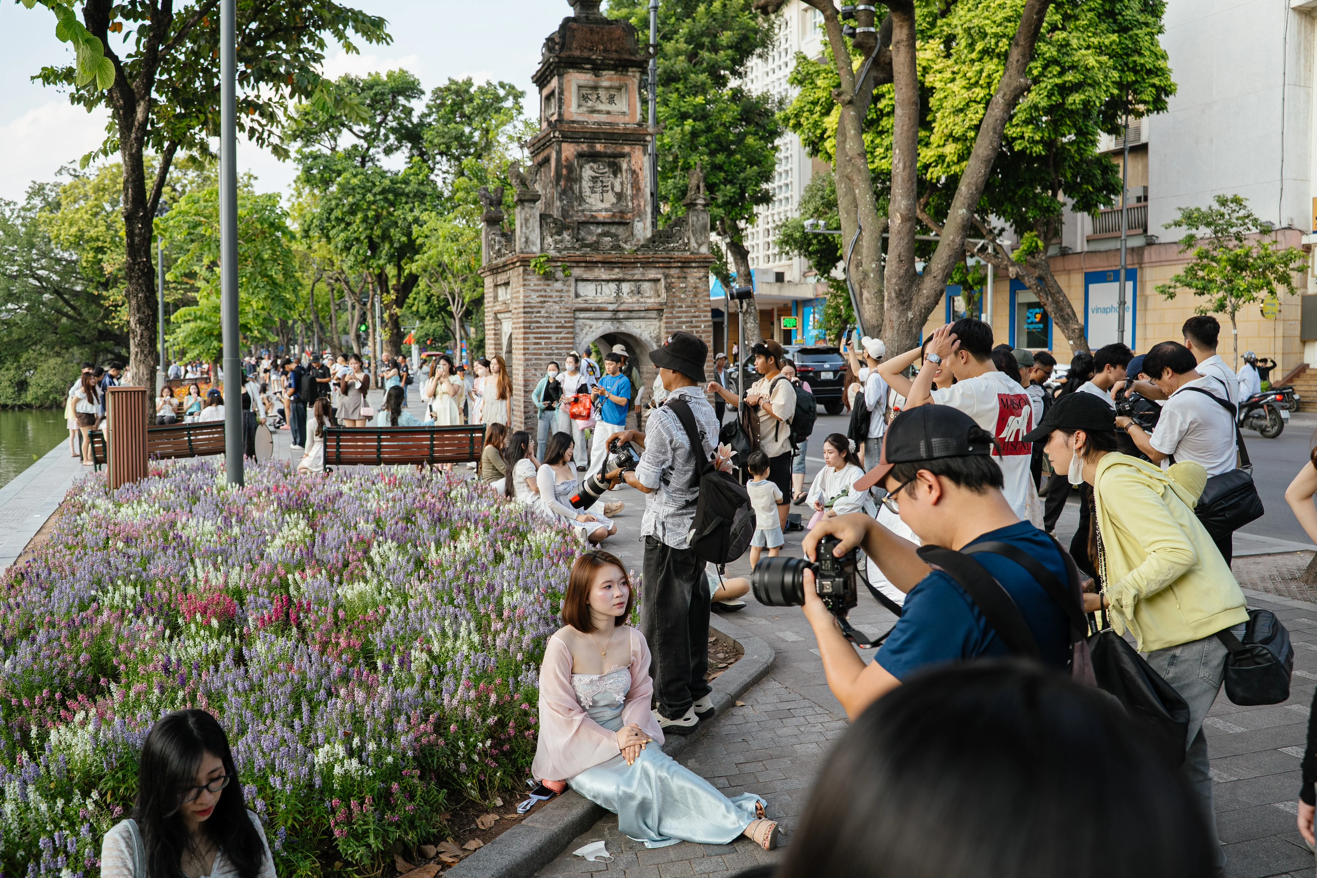 Hồ Hoàn Kiếm mùa hoa violet: Bí kíp chụp ảnh sống ảo chuẩn đẹp
