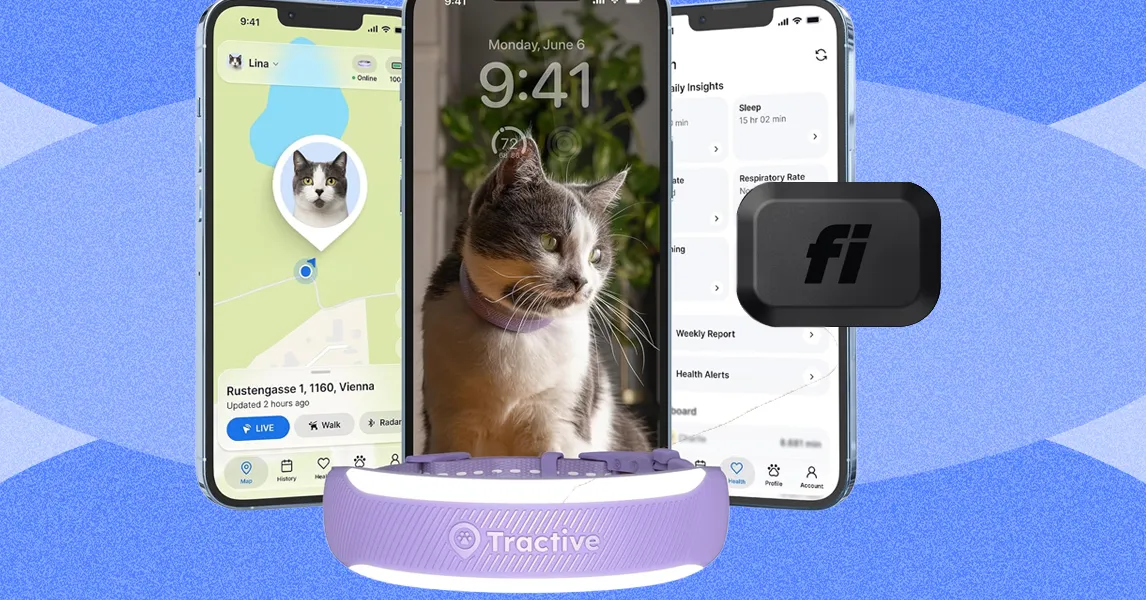 Vòng cổ thông minh cho mèo: Nên chọn Tractive Cat tracker hay Fi Mini collar?