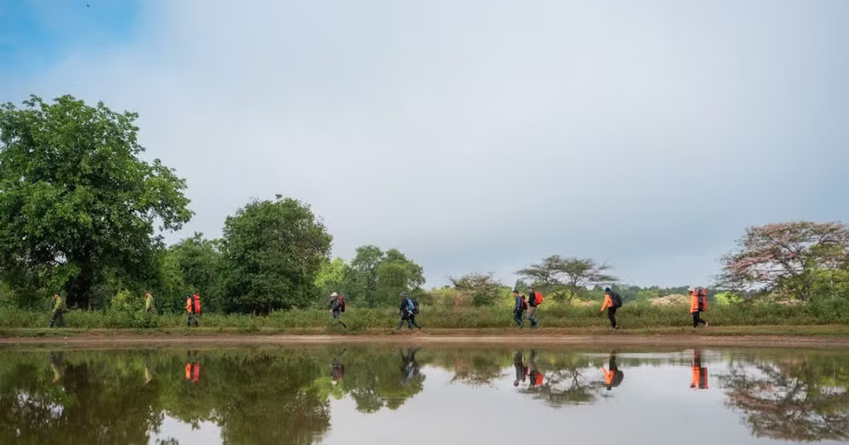 Tour tuần tra rừng Cát Tiên: Bước nhảy của du lịch sinh thái Việt Nam