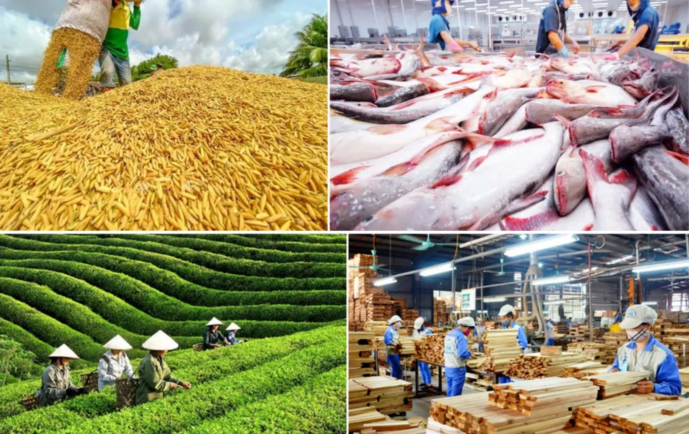Thủy sản Việt Nam khai phá thị trường Anh qua hai FTA