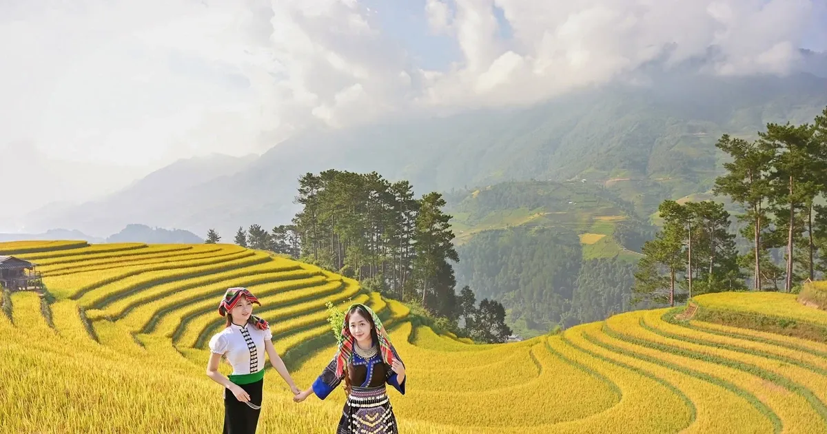 Săn ảnh mùa vàng lúa chín ở Tây Bắc: ánh sáng và địa điểm đẹp nhất
