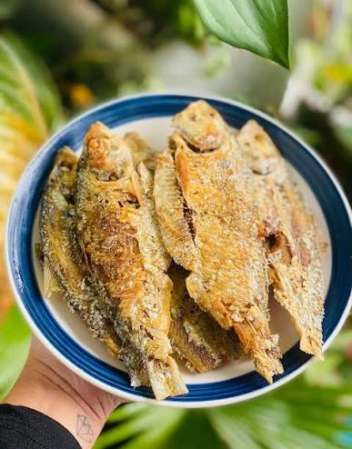 Cá mòi, cá nục, cá cơm: lựa chọn omega-3 bình dân thay thế cá hồi