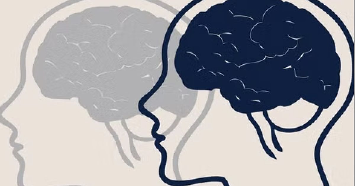 Thần thoại não trái logic, não phải sáng tạo: khoa học nói khác