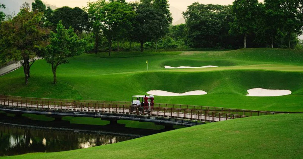 Sân golf Việt Nam thu hút du khách quốc tế: Điều gì làm nên sức hút?