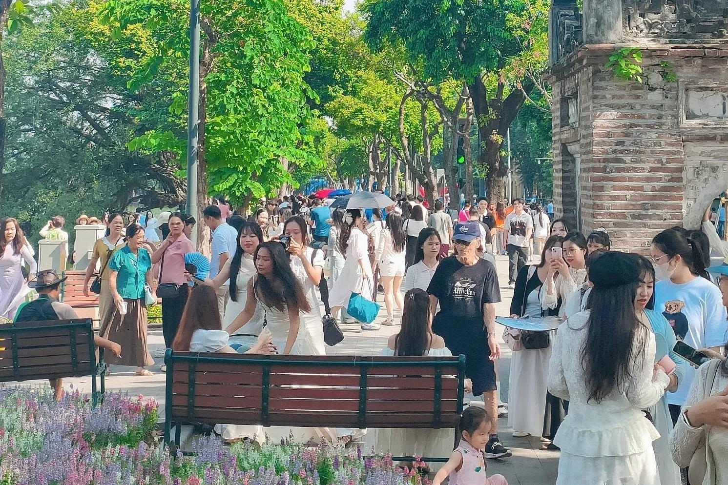 Hồ Gươm: thiên đường chụp ảnh mới với thảm hoa violet Nhật