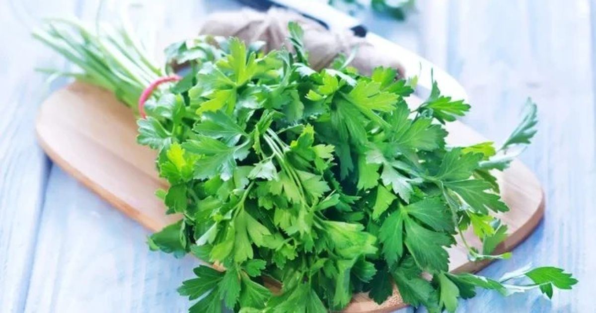 Lá hẹ và mùi tây: Rau gia vị giá rẻ nhưng nhiều dinh dưỡng