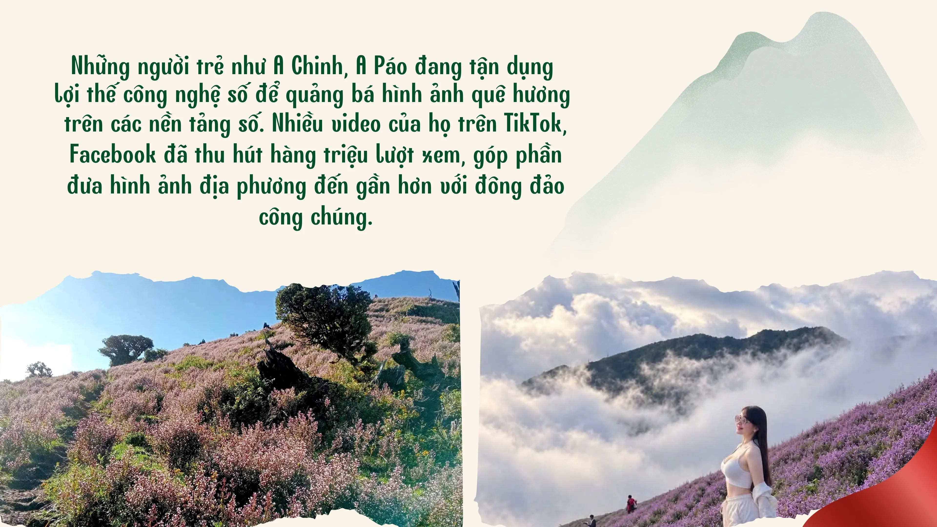 Hướng dẫn chụp ảnh hoa mật rồng và hoa bướm trên núi Tây Bắc