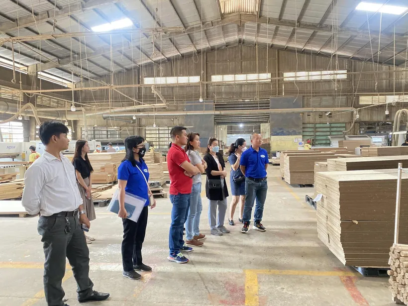 Thị trường gỗ nội địa chuyển hướng: cạnh tranh bằng chất lượng và phát triển xanh