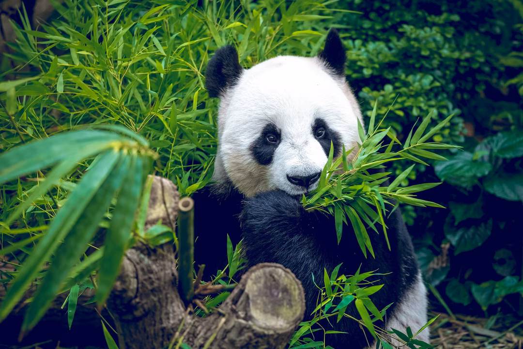 Tại sao món ăn ngon hơn vào ngày hôm sau?