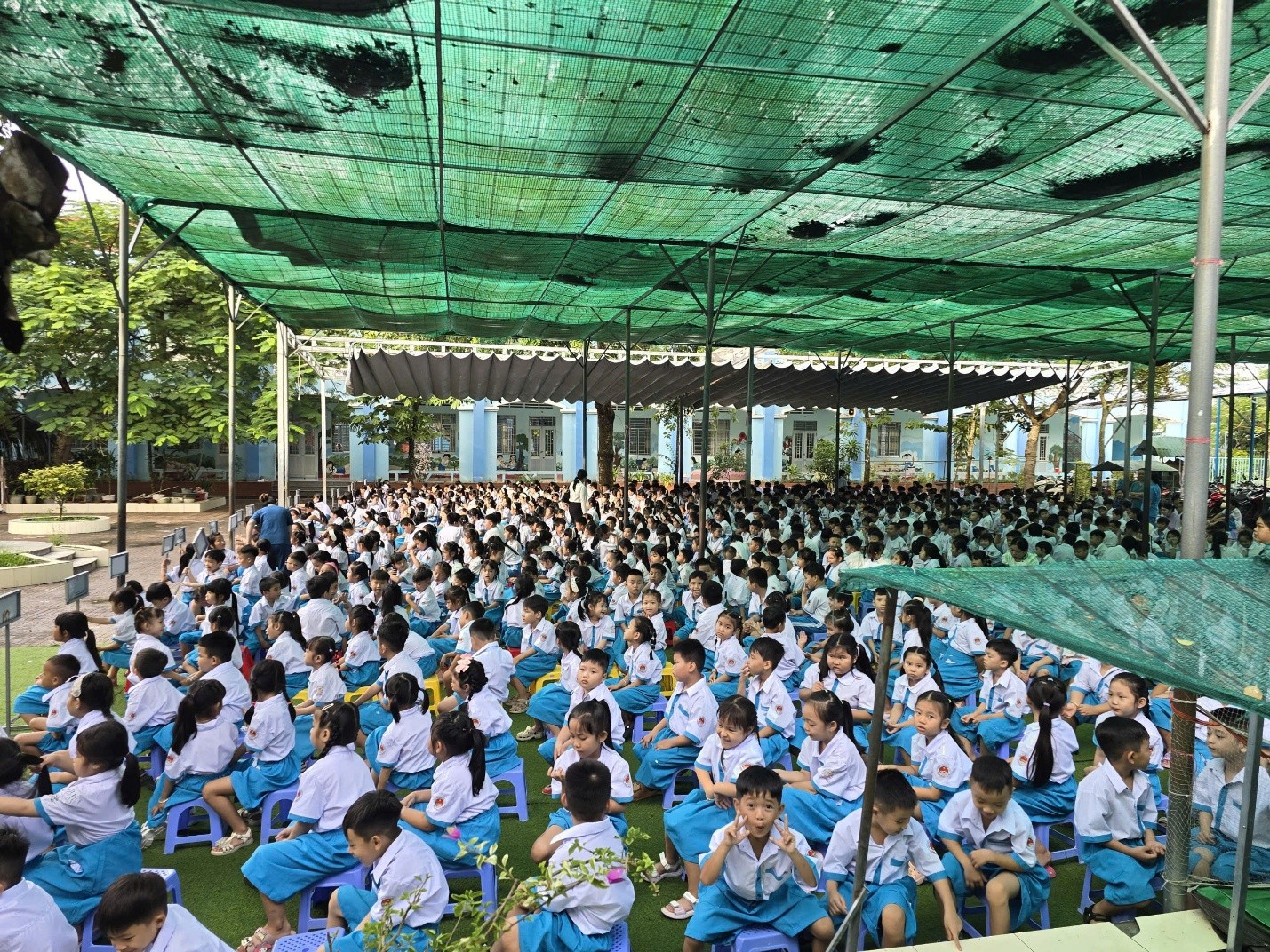 Chỉ 41% học sinh biết bơi: báo động kỹ năng an toàn nước
