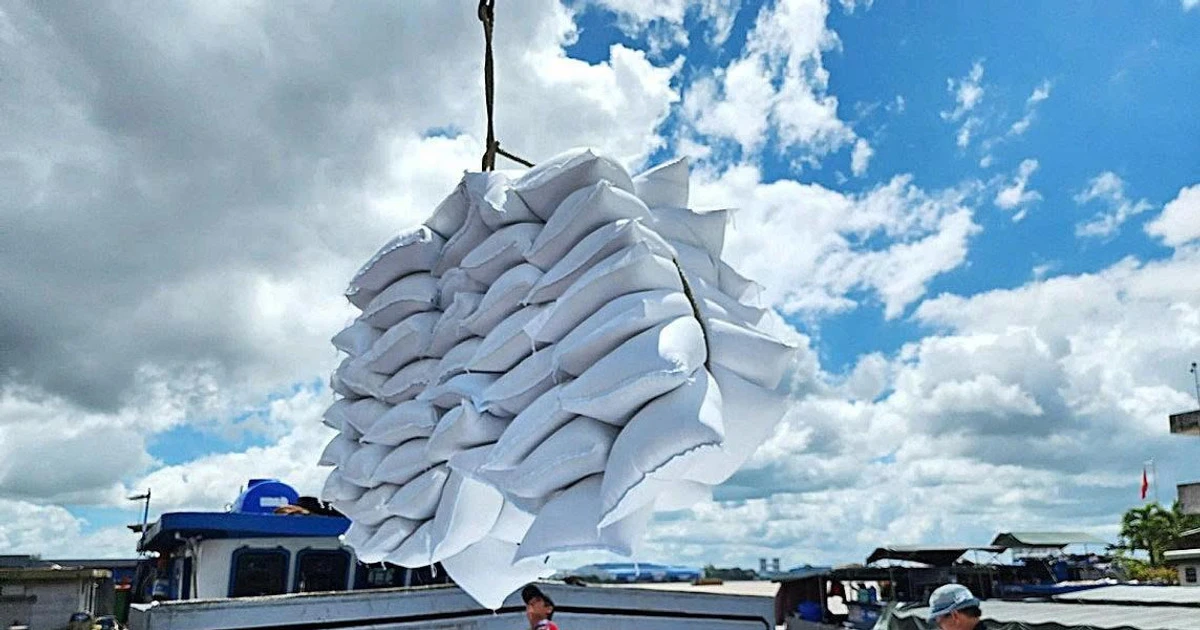 Gạo Việt Nam bùng nổ sang Trung Quốc và Iraq: Bản đồ thị trường đang xoay trục