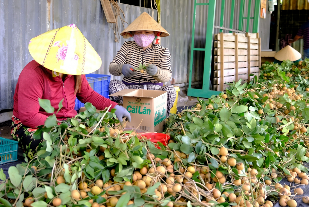 Các tỉnh tăng tốc hoàn thành tiêu chuẩn nông thôn mới