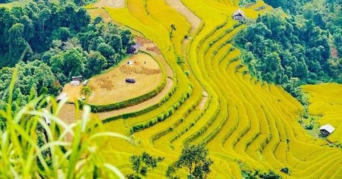 Chi dưới 1 triệu: Hướng dẫn leo núi, săn mây từ Hà Nội