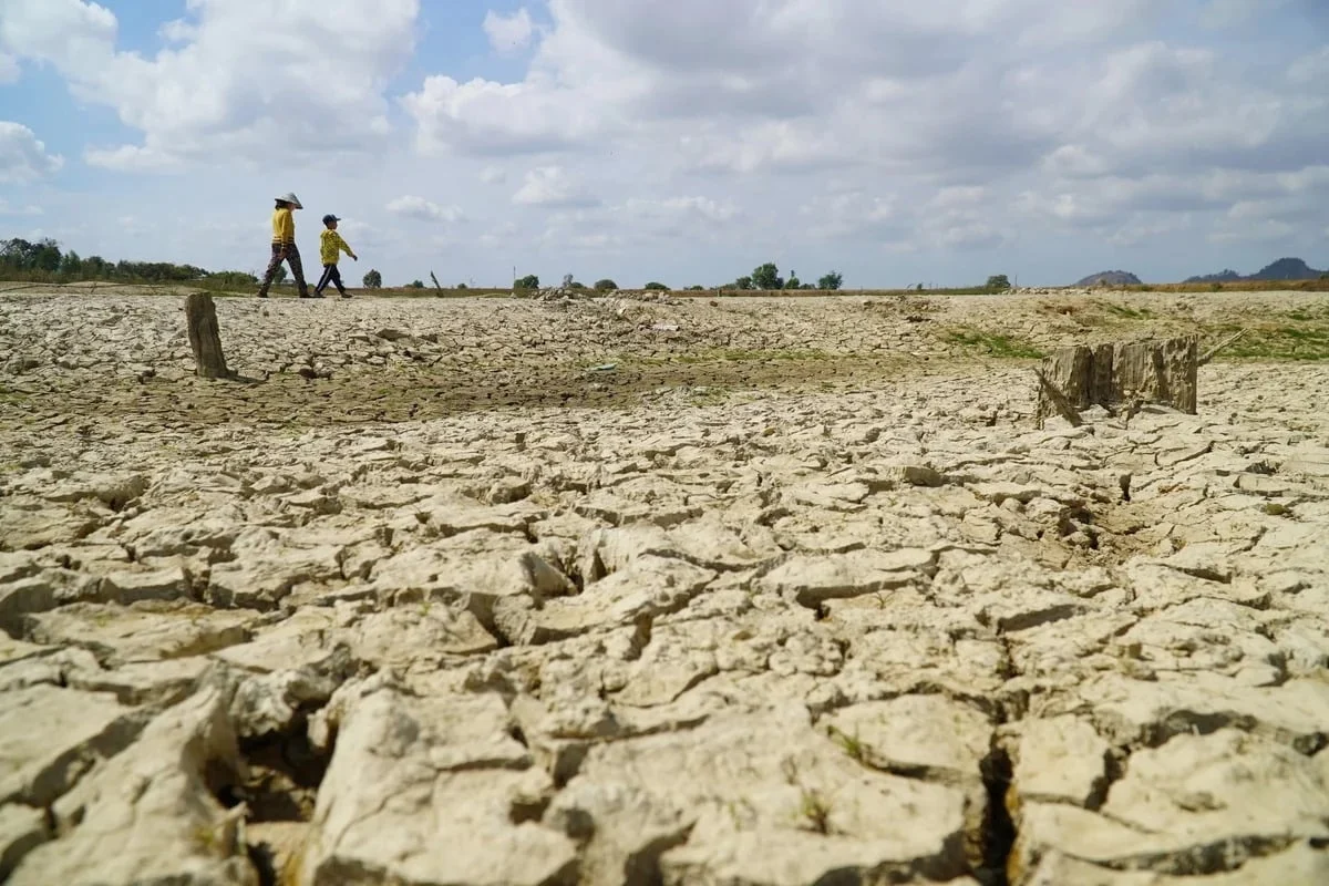 El Niño, xâm nhập mặn và bài toán sống còn vụ đông xuân