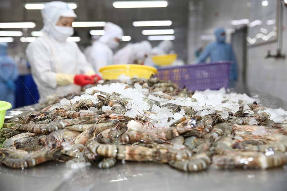 Xuất khẩu thủy sản vượt 9 tỷ USD sau 9 tháng: Cơ hội vàng nhưng không dễ ăn