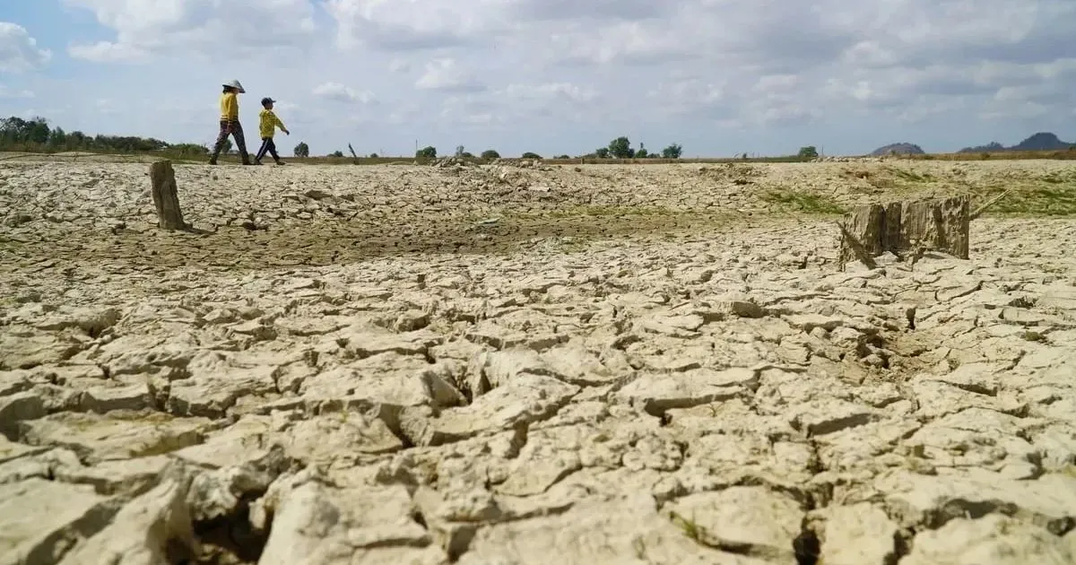 El Niño, xâm nhập mặn và bài toán sống còn vụ đông xuân