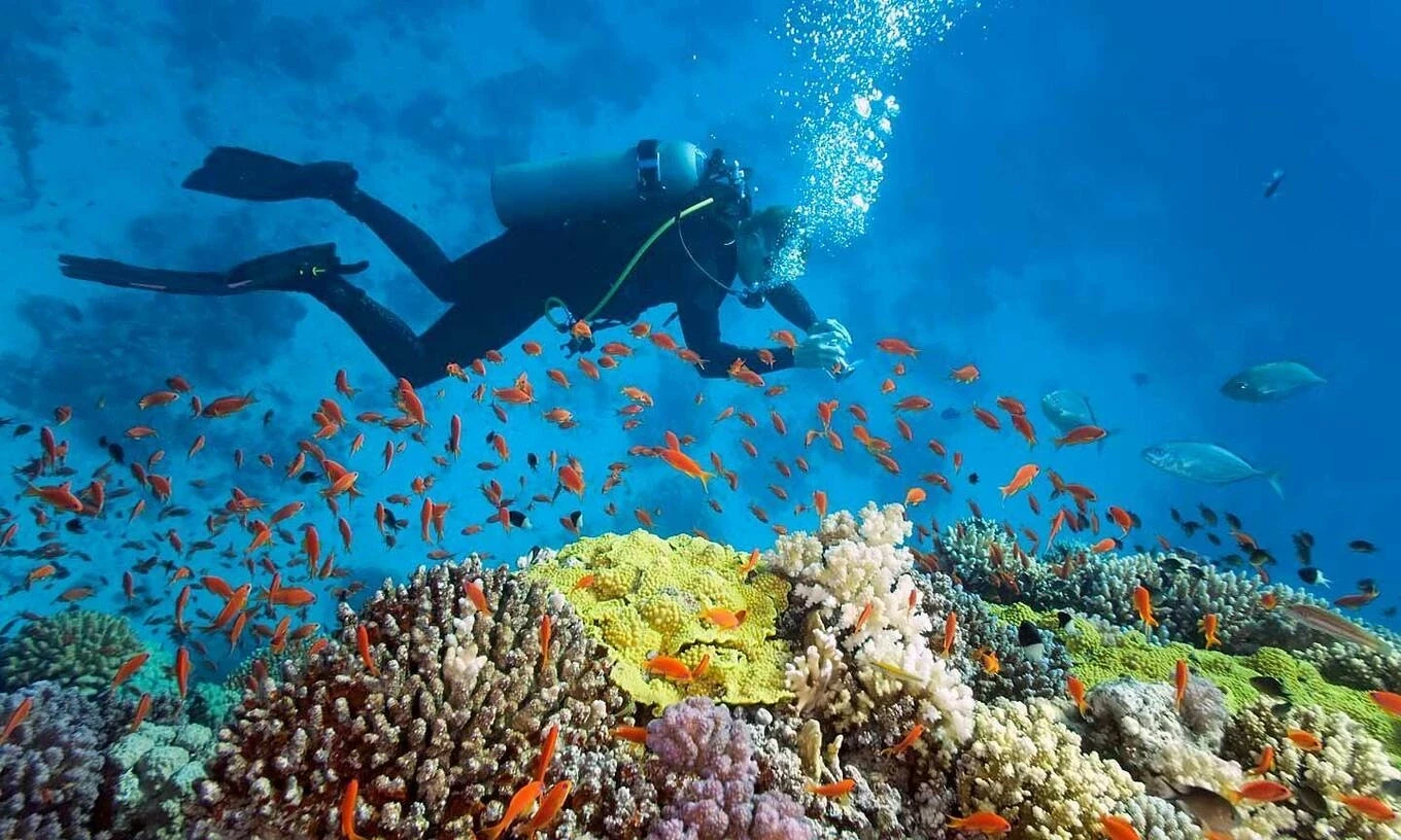 Lý Sơn và những hòn đảo núi lửa bí ẩn đang thay đổi bản đồ du lịch biển