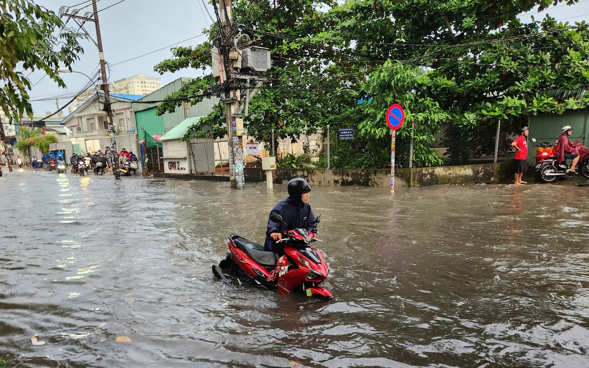 TP.HCM chuyển sang dự báo ngập thông minh bằng AI và dữ liệu