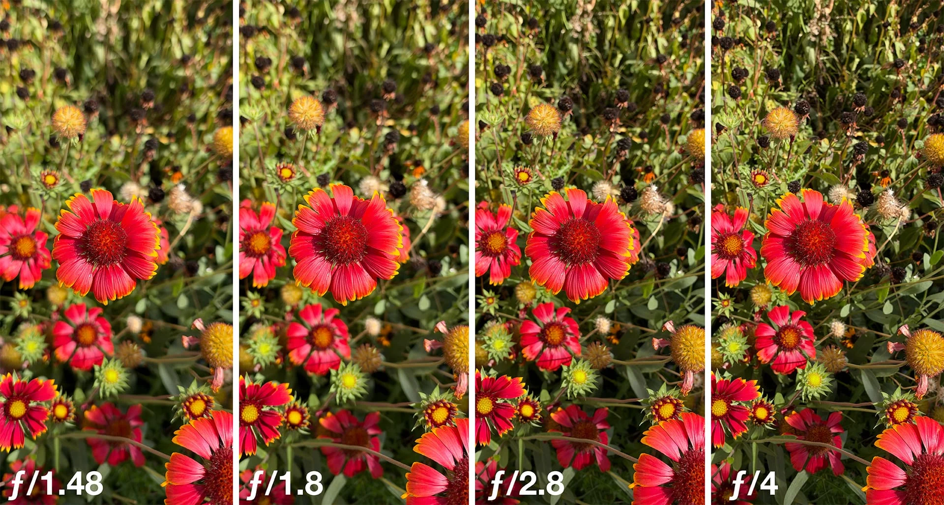 iPhone 18 Pro khẩu độ thay đổi: kiểm soát ánh sáng như máy ảnh