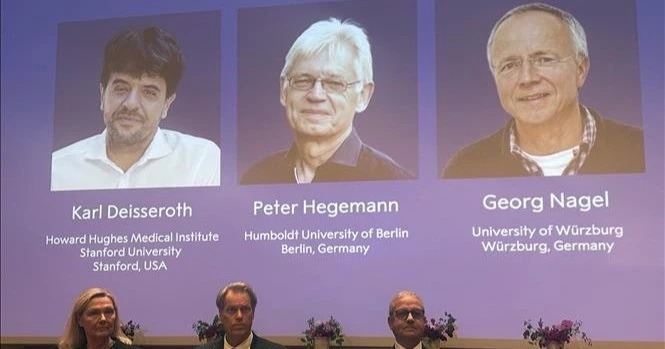 Công nghệ điều khiển tế bào bằng ánh sáng: Bước ngoặt mới của y học sau giải Nobel