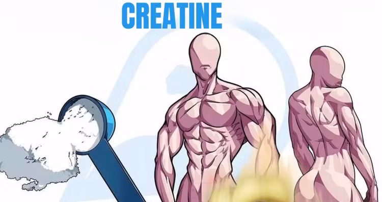 Creatine có thực sự hiệu quả với người trung niên?