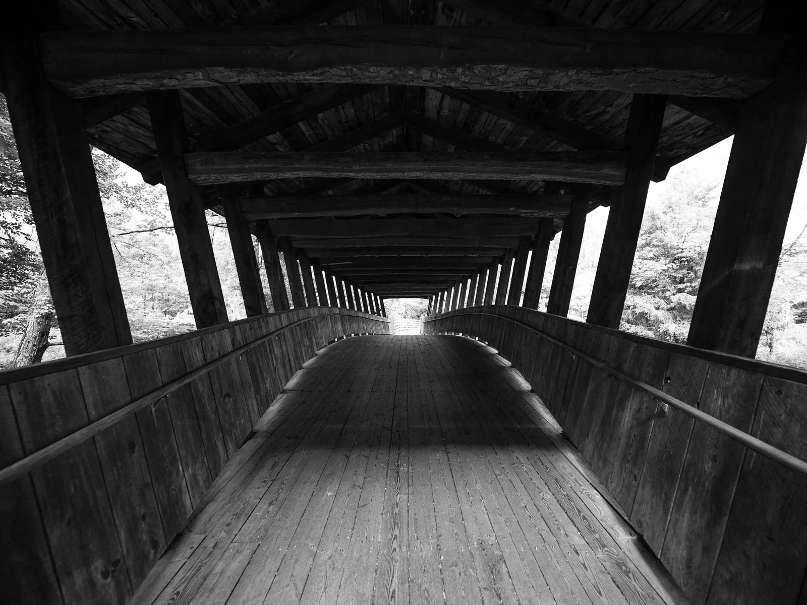 Viltrox 16mm f/1.8 L-Mount vs NiSi 16mm f/2.8 G-Mount