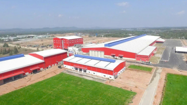 Kinh tế tư nhân Đà Nẵng: Từ du lịch đến xương sống cạnh tranh khu vực