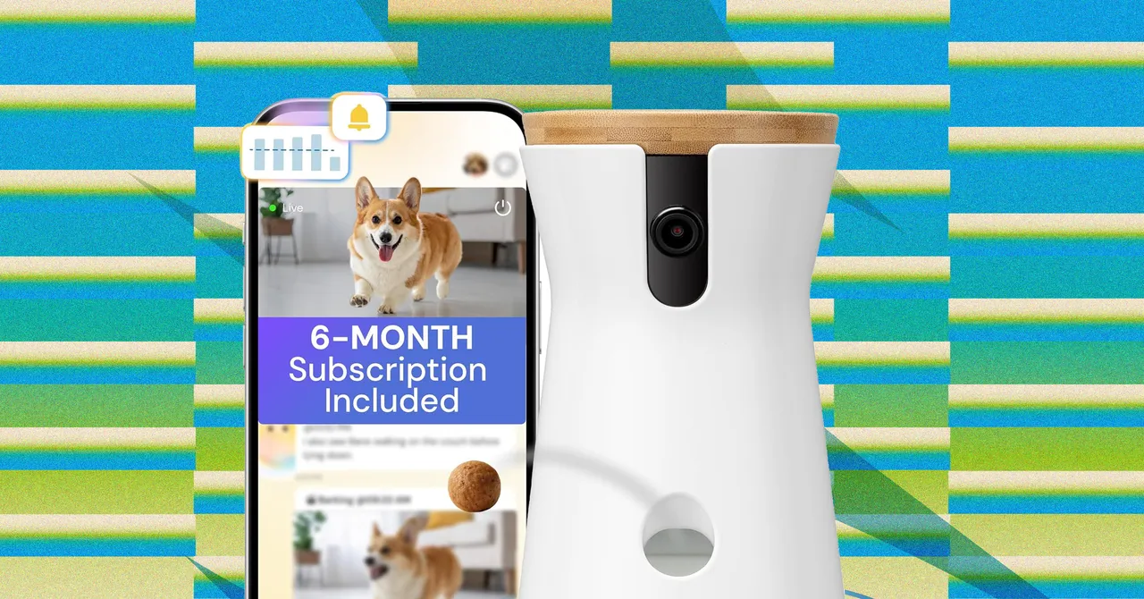 Máy cho ăn thông minh cho thú cưng: những deal đáng chú ý trên Prime Day