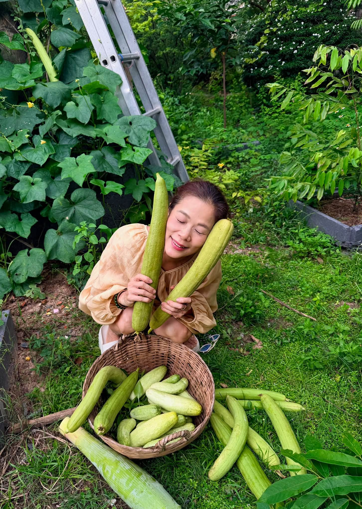 Từ sân khấu đến phòng họp: hành trình nữ ca sĩ kinh doanh Mỹ Lệ