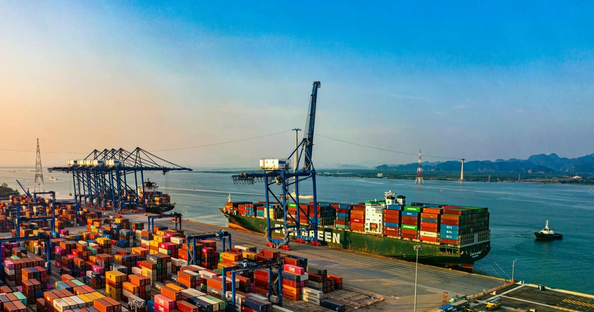 Quy định mới về khu thương mại tự do: cơ hội nào cho nhà đầu tư?