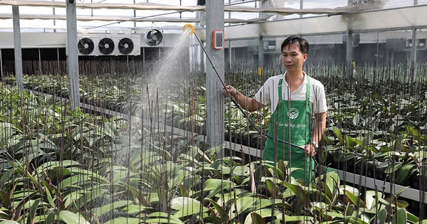 Nâng giá trị xuất khẩu nông sản lên 100 tỷ USD: Đột phá từ chuỗi giá trị