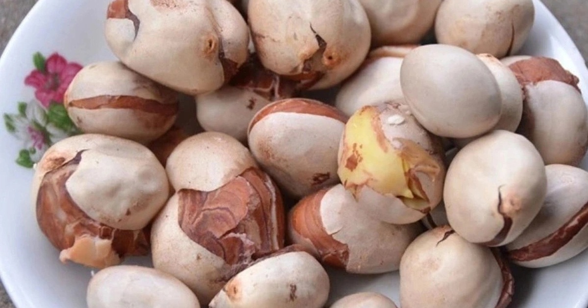 Từ hạt mít đến polyme siêu hấp thụ: lời giải xanh cho khủng hoảng nước