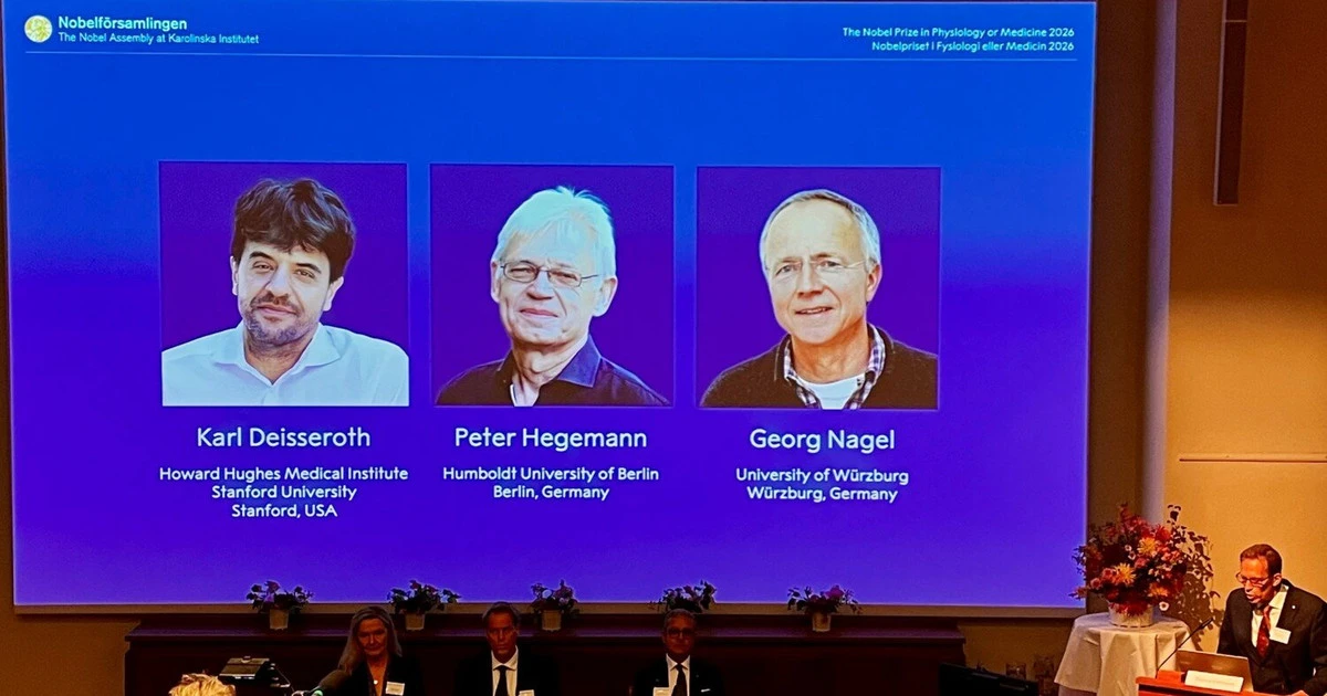 Ánh sáng mở bản đồ não bộ: quang di truyền học lên ngôi Nobel