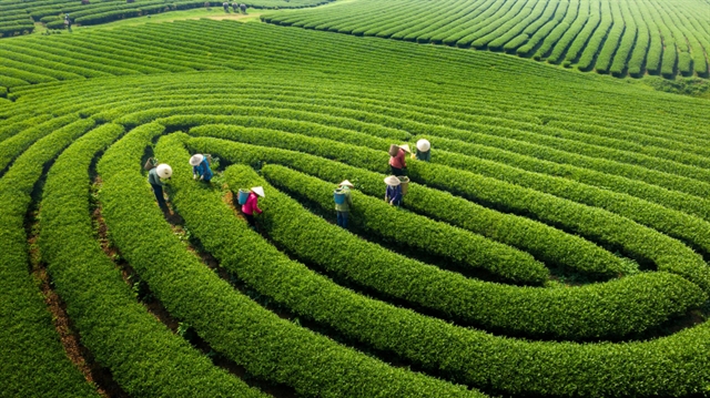 Việt Nam điểm đến hàng đầu châu Á: Danh hiệu xứng đáng và thách thức mới