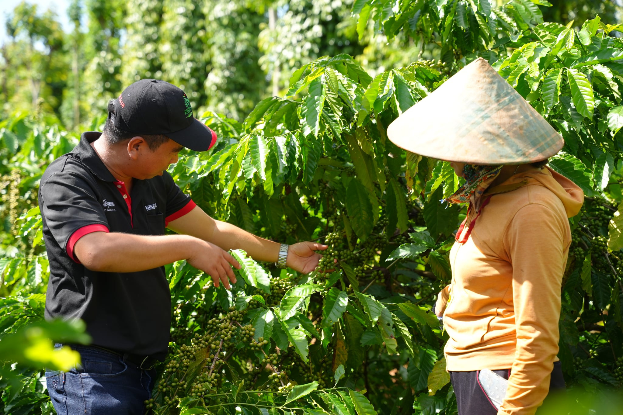 Doanh nghiệp Việt chuyển đổi chuỗi cung ứng bền vững: Từ cam kết đến hành động thực tế