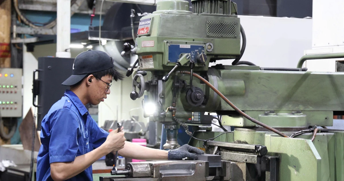 Các trường đại học đang dạy gì trong thời AI?