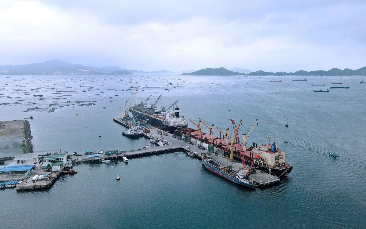 Khánh Hòa triển khai lộ trình cảng xanh: cơ hội tái định vị chuỗi logistics