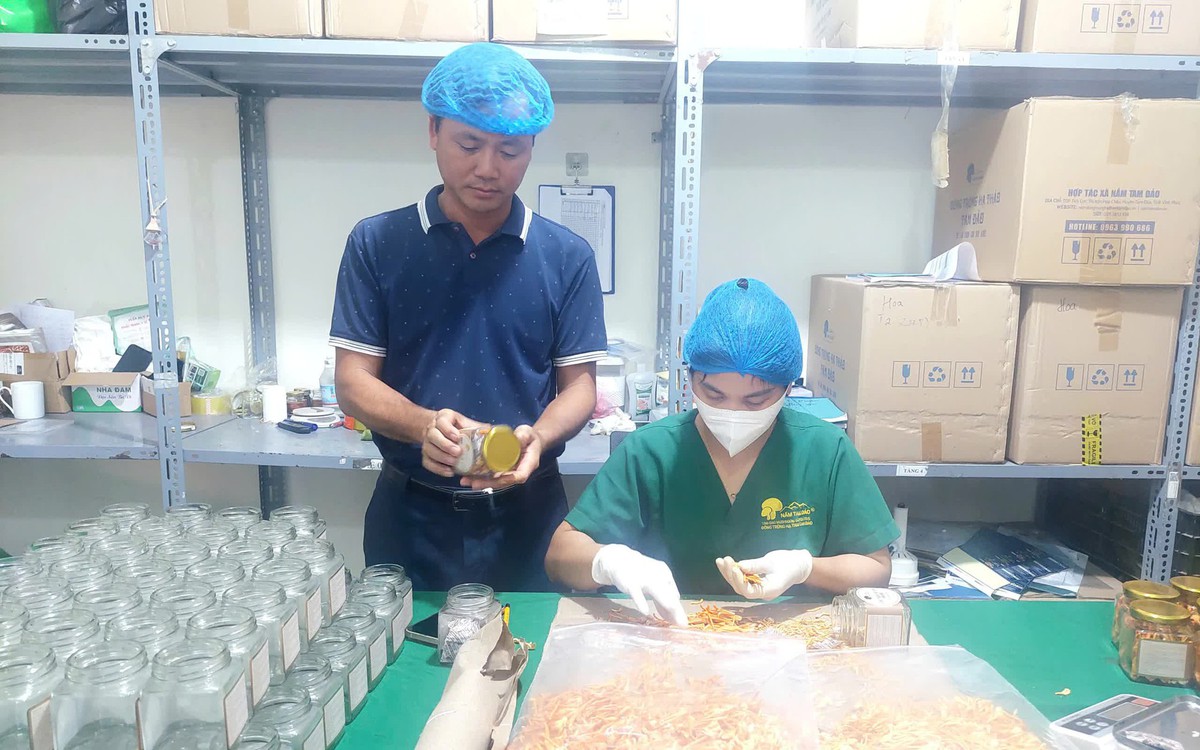 Nâng giá trị xuất khẩu nông sản lên 100 tỷ USD: Đột phá từ chuỗi giá trị
