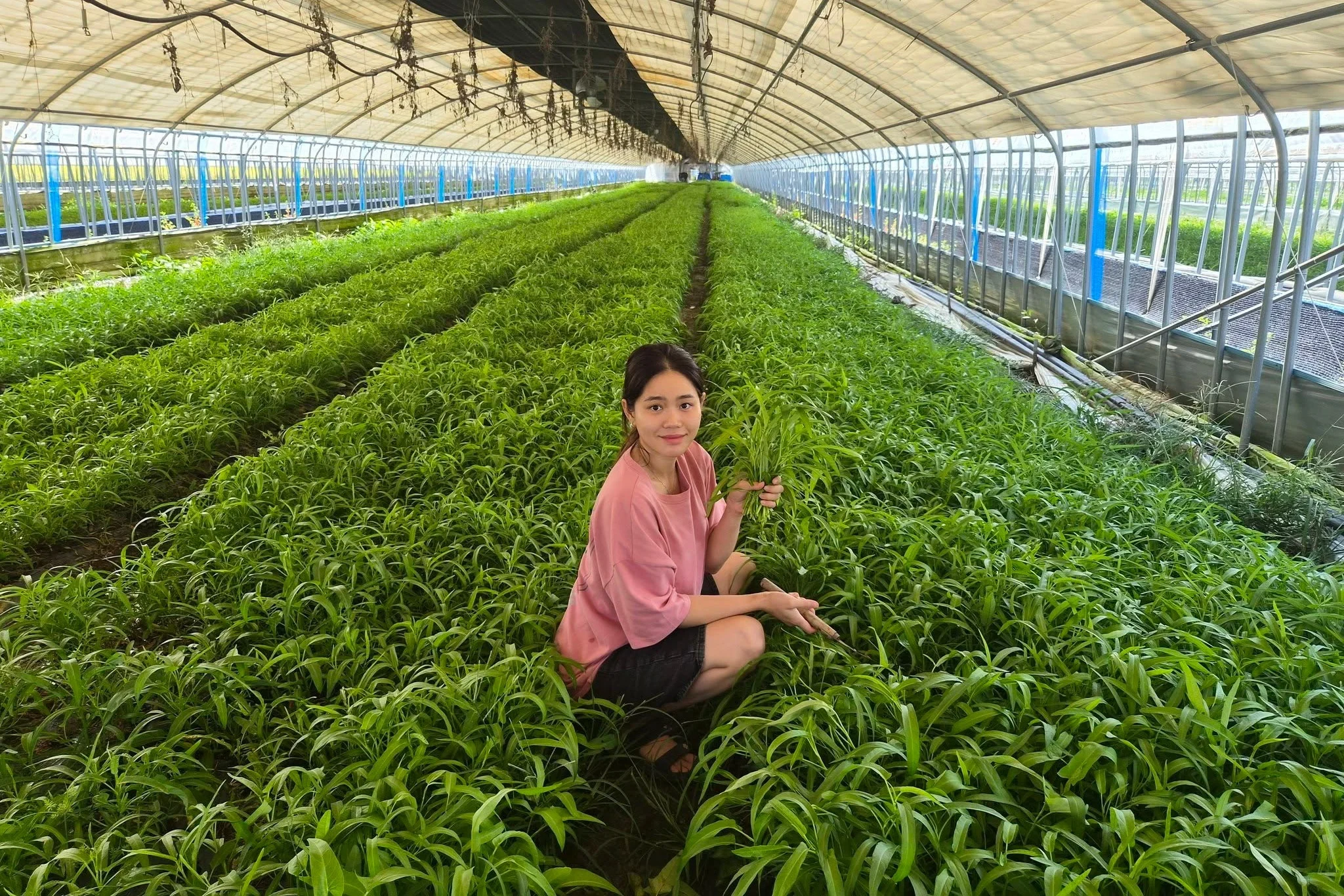 Từ nông dân đến triệu phú livestream bán rau Việt ở Hàn