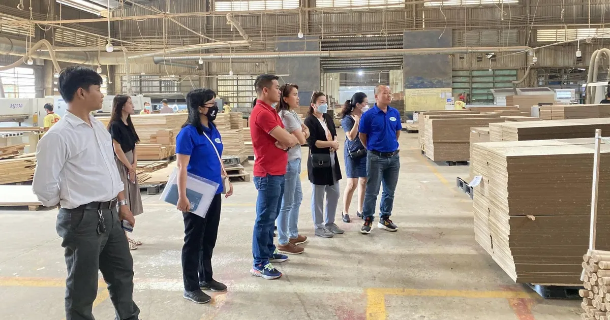 Thị trường gỗ nội địa: Khoảng trống tiêu chuẩn đang kìm chân tăng trưởng