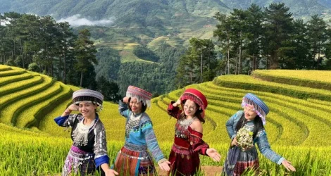 Từ Tú Lệ đến Sa Pa: Tuyến di sản ruộng bậc thang Tây Bắc