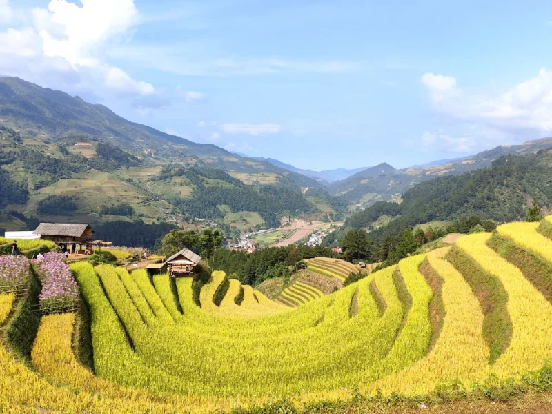 Từ Tú Lệ đến Sa Pa: Tuyến di sản ruộng bậc thang Tây Bắc