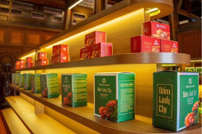 Khuyến công phía Bắc: Từ vốn mồi ngắn hạn đến năng lực dài hạn