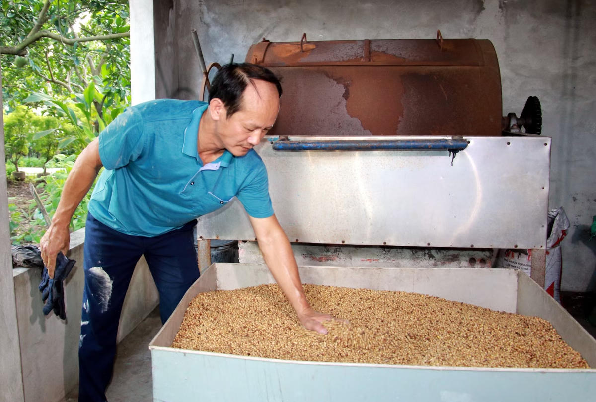 Hạt chia Việt Nam: từ vùng cao Than Uyên đến chất lượng toàn cầu