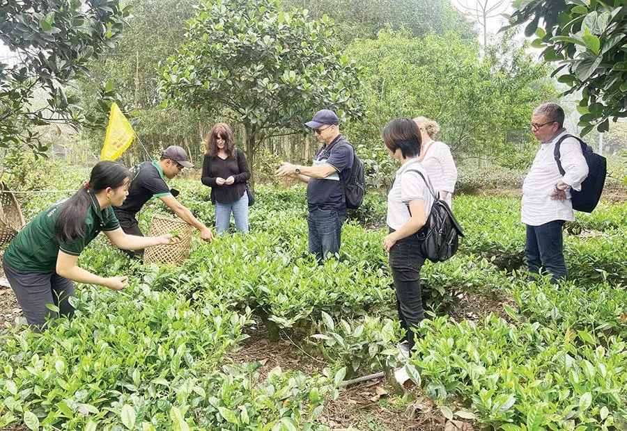 Hai cuộc thi ảnh địa phương: Sắc màu mùa thu Huế và hương chè Thái Nguyên